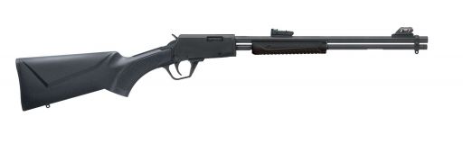 Carabine 22LR Rossi Gallery